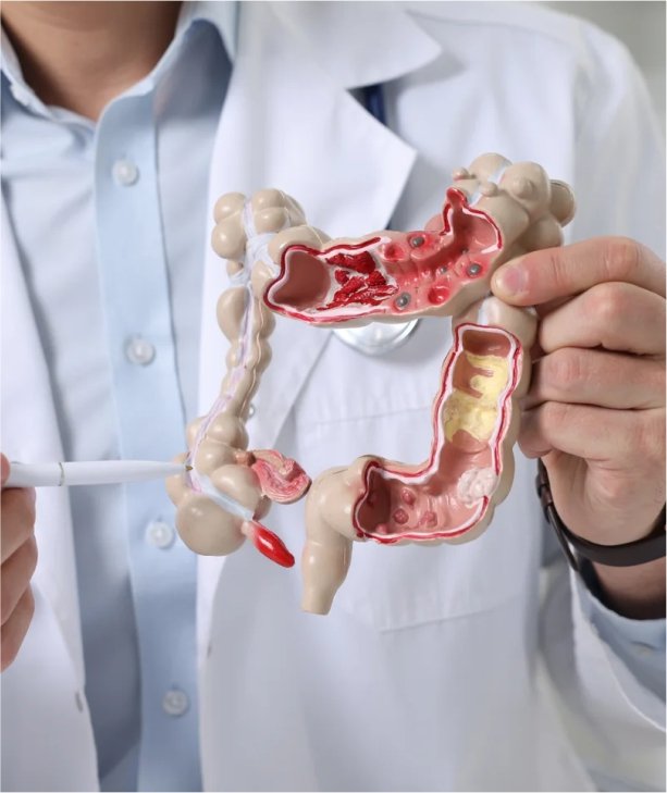 Gastroenterology