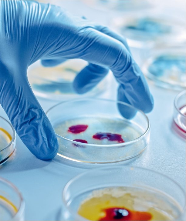 Microbiology