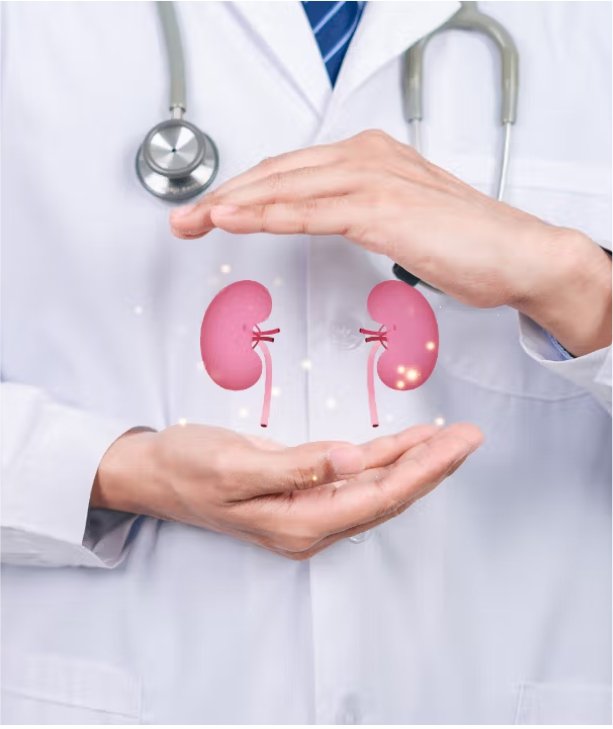 Nephrology