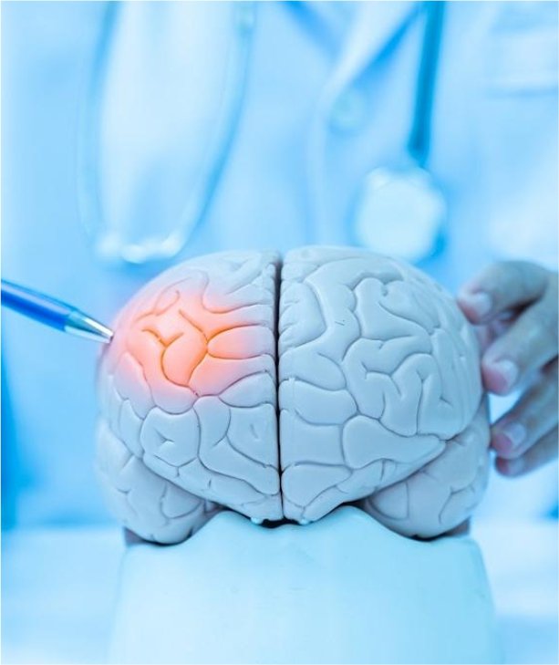 Neurology