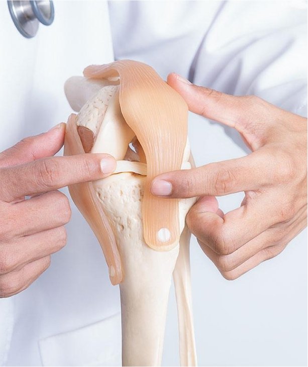 Orthopedics