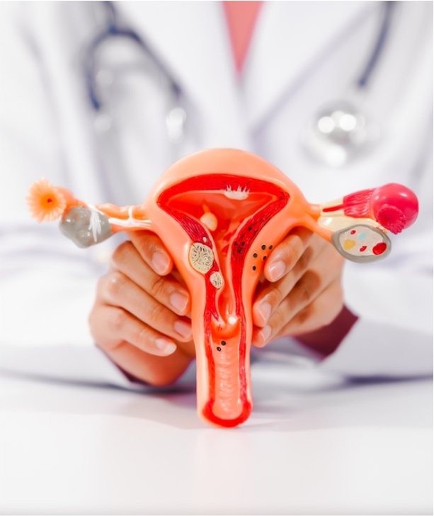 Reproductive Medicine