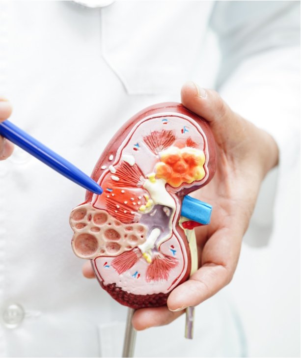 Urology
