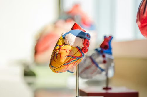 Cardiology